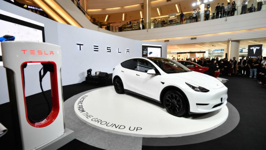 Tesla Earnings, Profit Margins Beat Street Forecasts Amid Price War