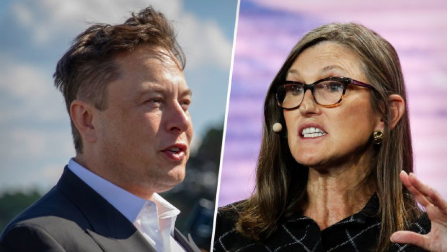 Elon Musk On Tesla's Stock "10X-ing" as Cathie Wood Has Predicted