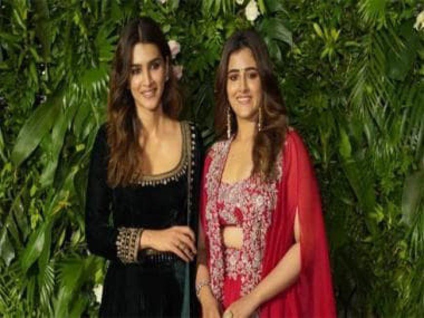 Nupur Sanon replies to a user who called her and her sister Kriti Sanon 'flop actresses'