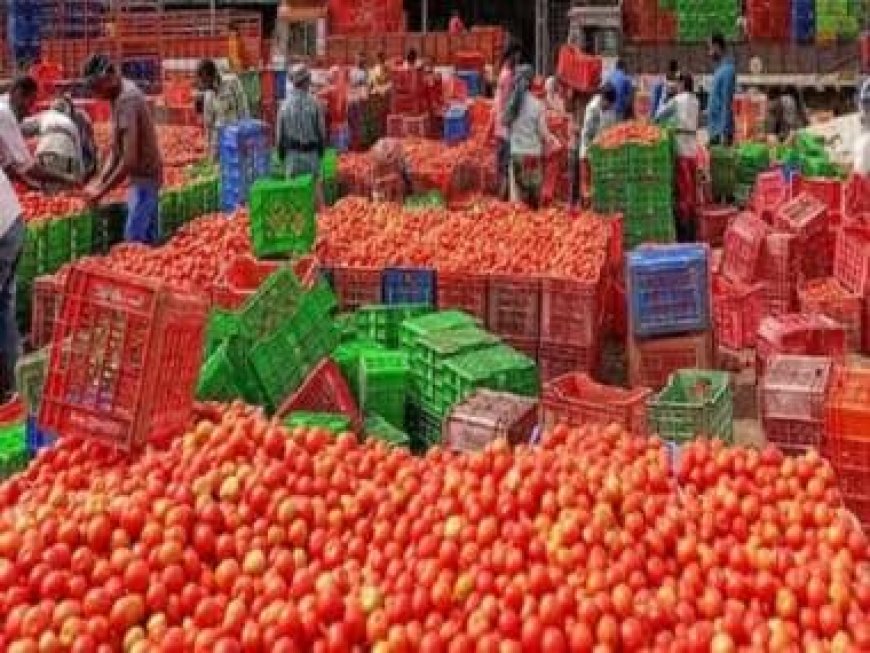 Tomato prices soar again on low supply; Mother Dairy stalls begin selling at Rs 259/kg