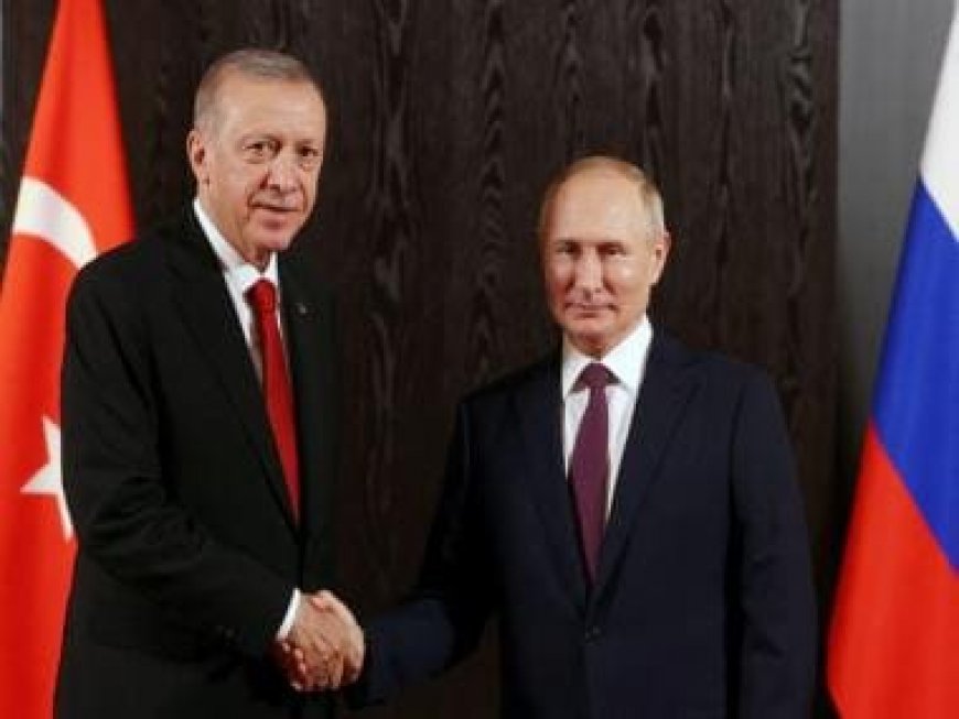 Turkish President Erdogan says Putin may visit Turkey in August