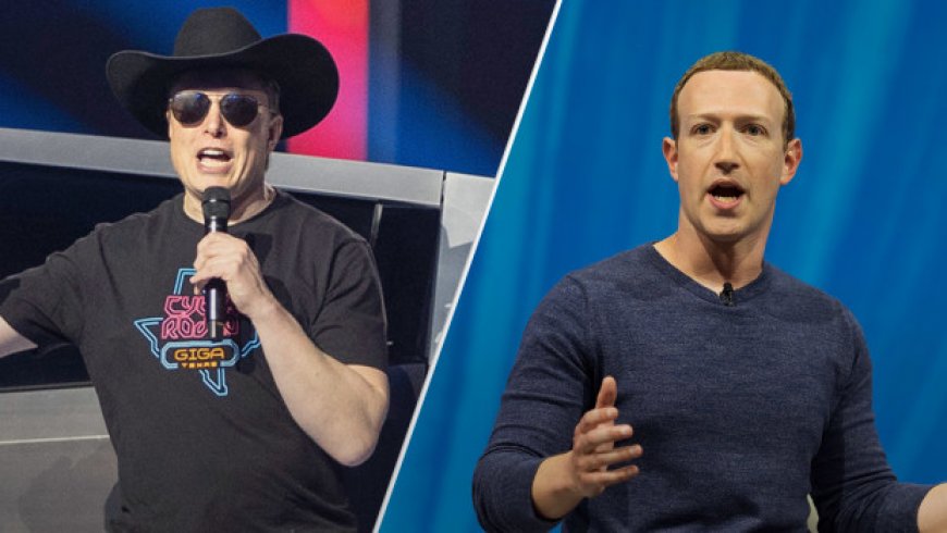 Elon Musk Wants to Live-Stream His Cage Match Against Mark Zuckerberg
