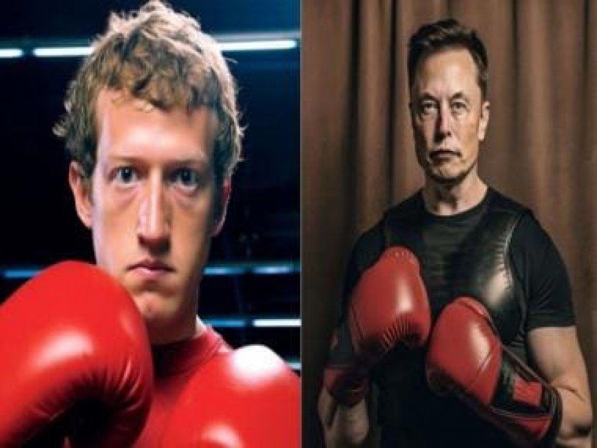Elon Musk brags about lifting '45 lb weights' before cage fight, Zuckerberg says 'not holding breath'