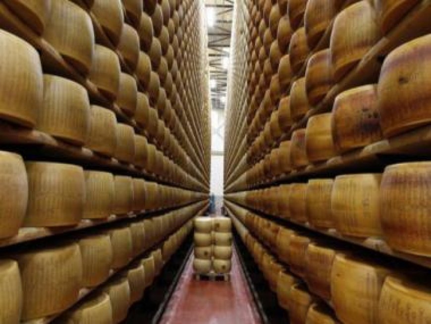 Death by Cheese: Italian man crushed by toppling cheese wheels in warehouse mishap
