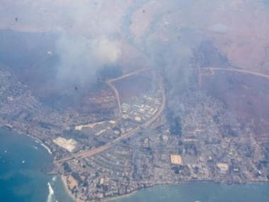 Hawaii wildfires raze resort city on Maui island, killing dozens