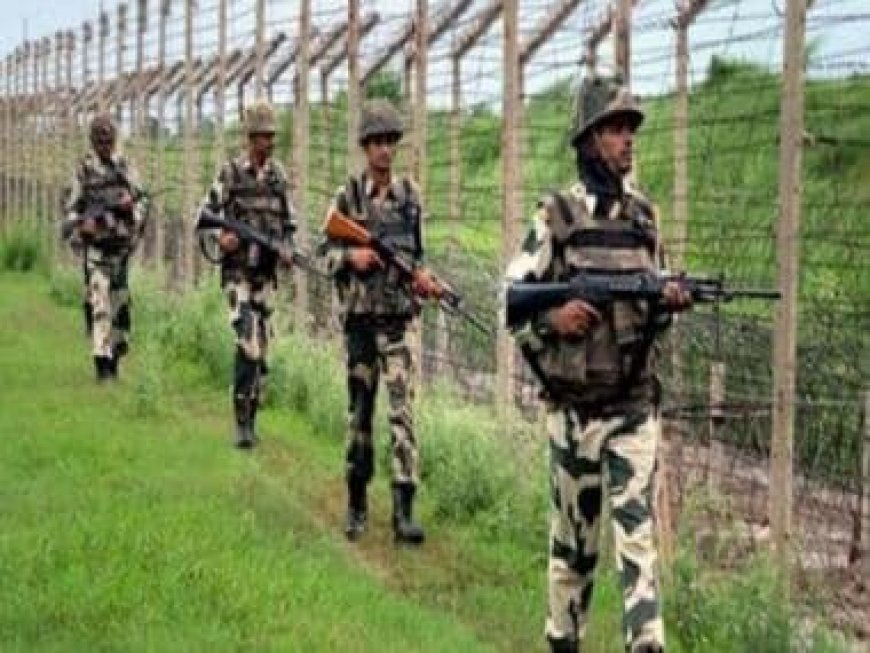 Pakistani intruder shot dead by BSF along Punjab border