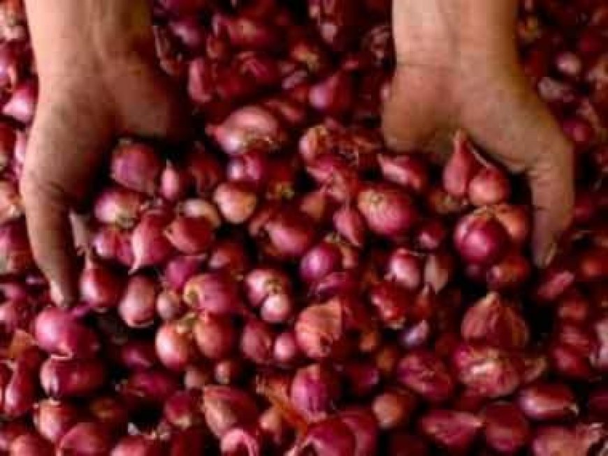 Centre starts releasing onions in key markets from buffer stock to rein in prices