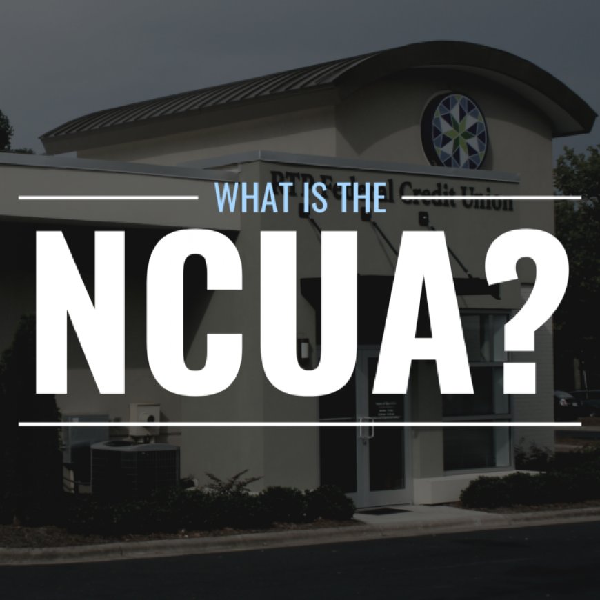 What is the NCUA? What does it do?