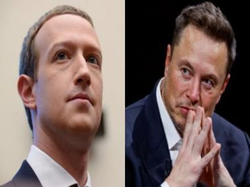 Mark Zuckerberg on Elon Musk's cage fight claim: 'You'll hear it from me'