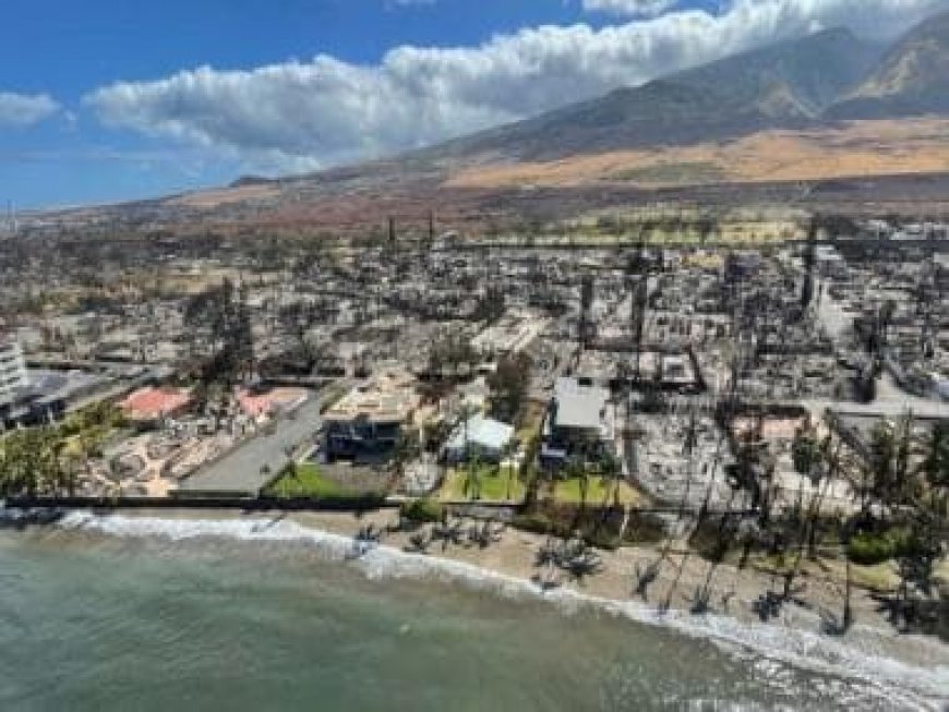 Bright orange X's on buildings signal search for bodies after deadly Maui fire, HR for human remains