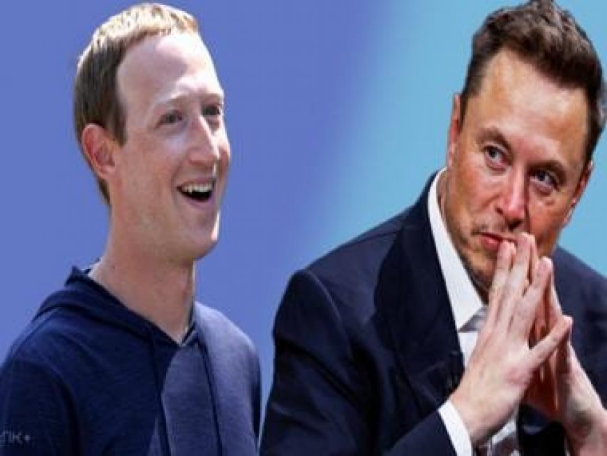 Elon Musk's 'I joked on X about fighting Zuck' induces meme-fest