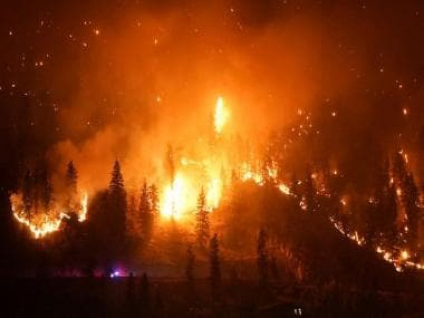 Canada's firefighters wage epic battle to save communities after mass evacuations