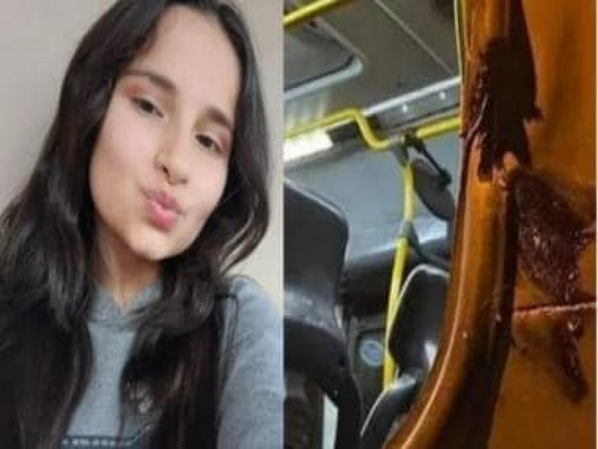 Brazil: School girl leans out of bus window to wave at friends, collides with concrete pole, dies