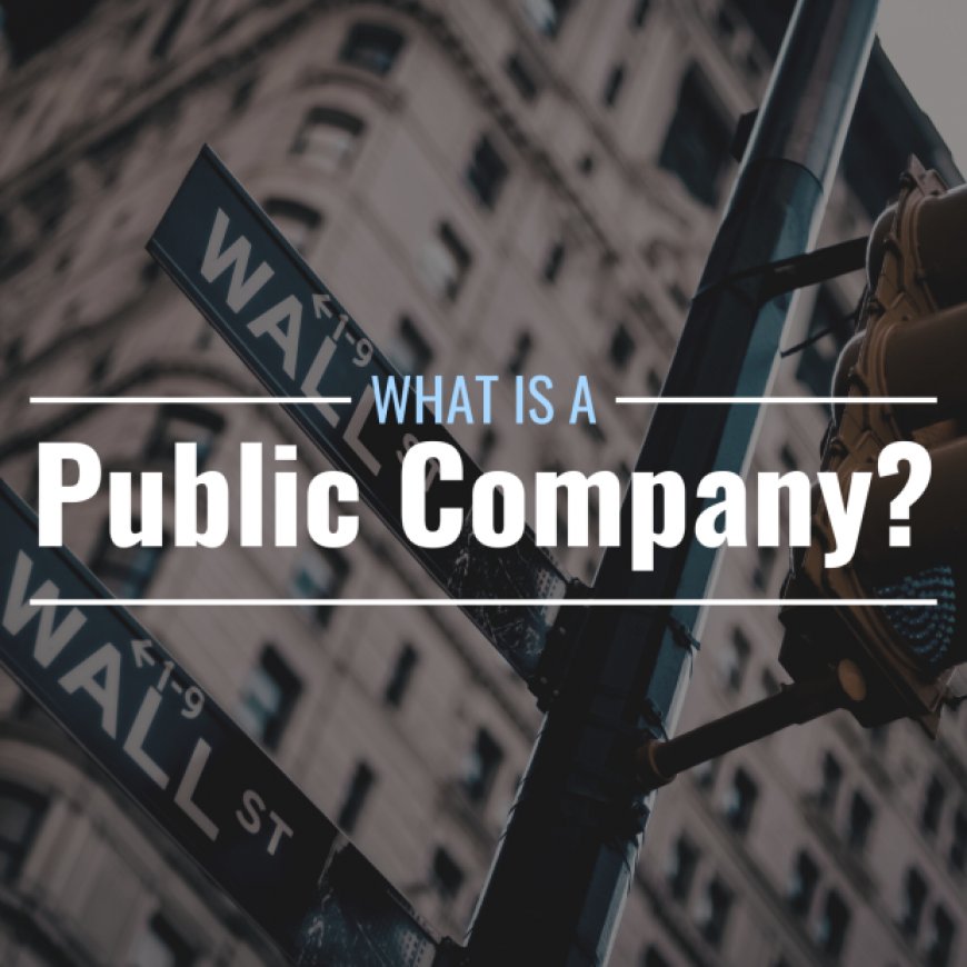 What is a public company? Definition, requirements & process