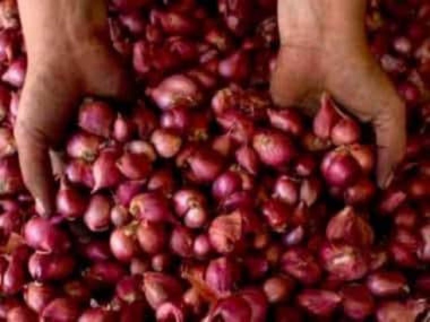 NCCF procures 2,826 tonnes onion from farmers for buffer stock; to scale up buying in coming days