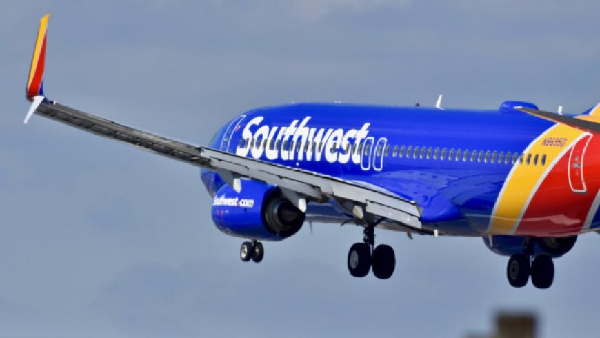 Southwest Airlines under fire for 'shaming' reality TV star over clothing
