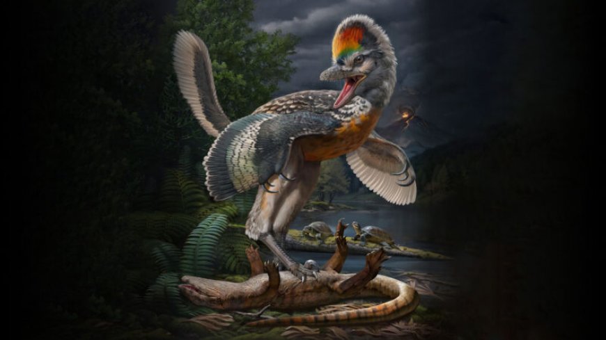 This newfound birdlike dinosaur had surprisingly long legs