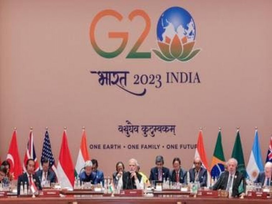 G20 Summit 2023: PM Modi calls for moving on from global family to 'global' village'