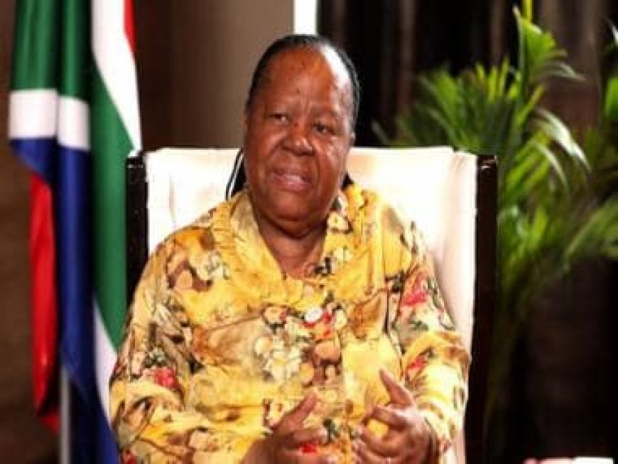 G20 Summit Ukraine Consensus: 'Difficult, but India carried it extremely well,' says South Africa FM Naledi Pandor