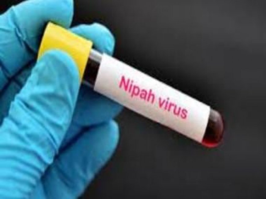 Kerala reports 2 deaths due to Nipah virus, Centre sends team for assistance