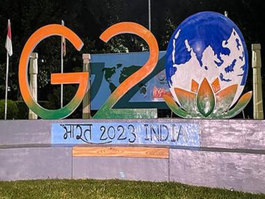 'They were successful in showcasing India before world': Locals in Pakistan hail G20 summit