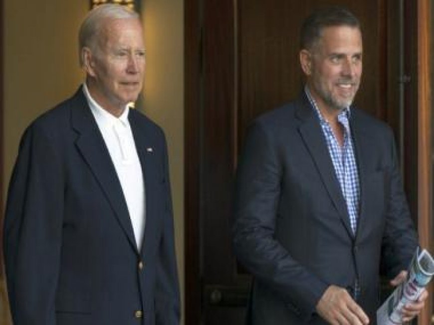 Hunter Biden charged in arms case: Could indictment affect US prez 2024 chances?
