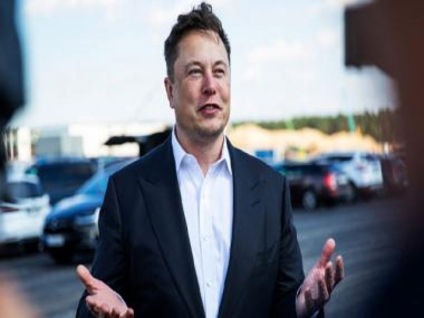 ‘Unelected Senator’: US Senate to investigate Elon Musk over his influence in the Russia-Ukraine war