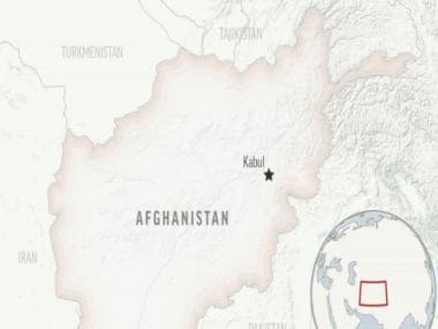 Taliban have detained 18 staff, including a foreigner, from Afghanistan-based NGO