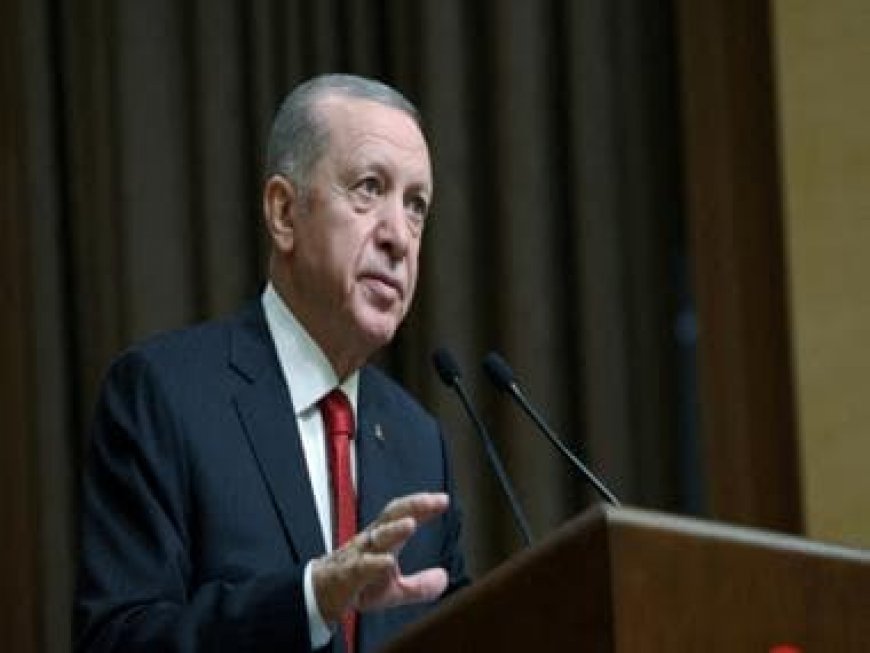 Turkey may part ways with EU if necessary: Erdogan