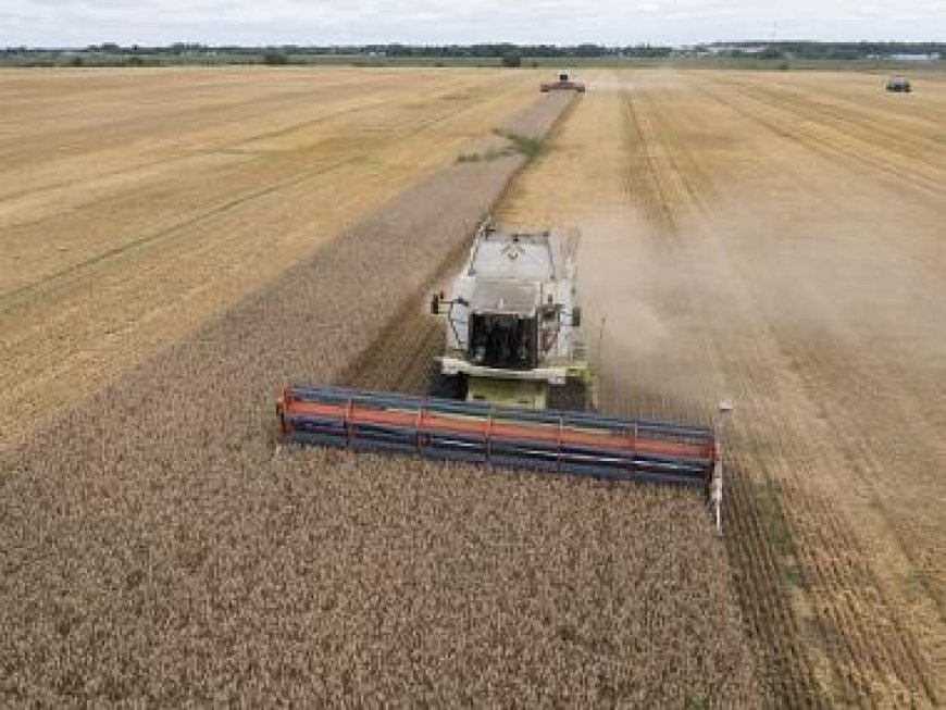 Second Ukraine wheat shipment reaches Turkey: tracking sites