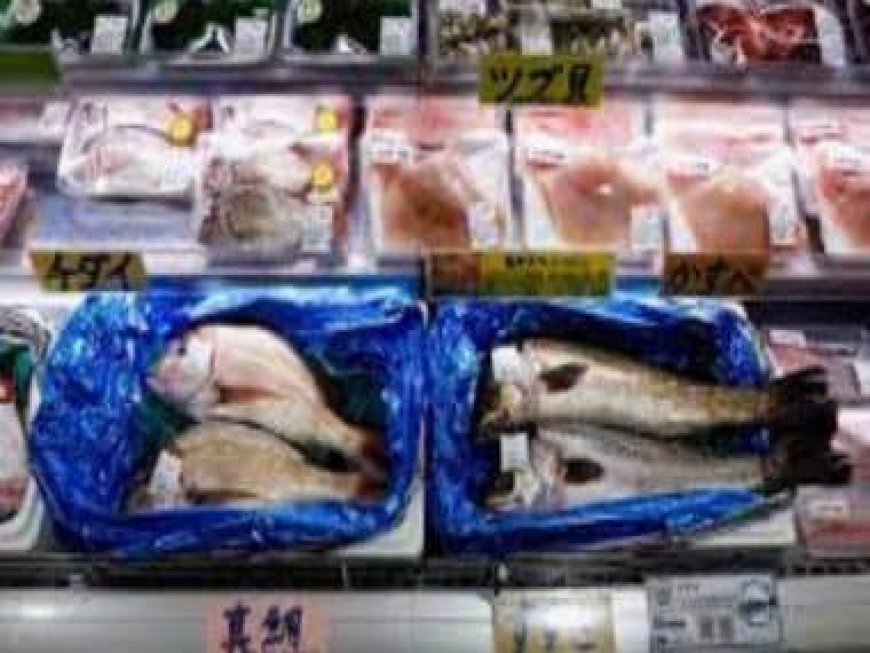 Russia may join China in banning seafood imports from Japan