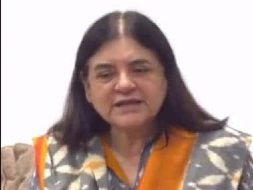 'ISKCON biggest cheat': Maneka Gandhi alleges organisation sells cows to butchers; temple authority responds