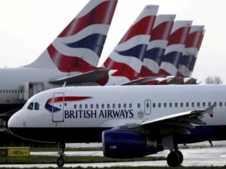 British Airways pilot gets flying ban for bragging he 'snorted cocaine off woman's breasts before trying to fly plane'