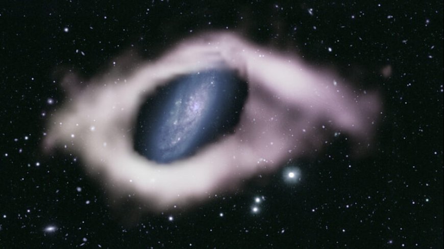 This ‘polar ring’ galaxy looks like an eye. Others might be hiding in plain sight