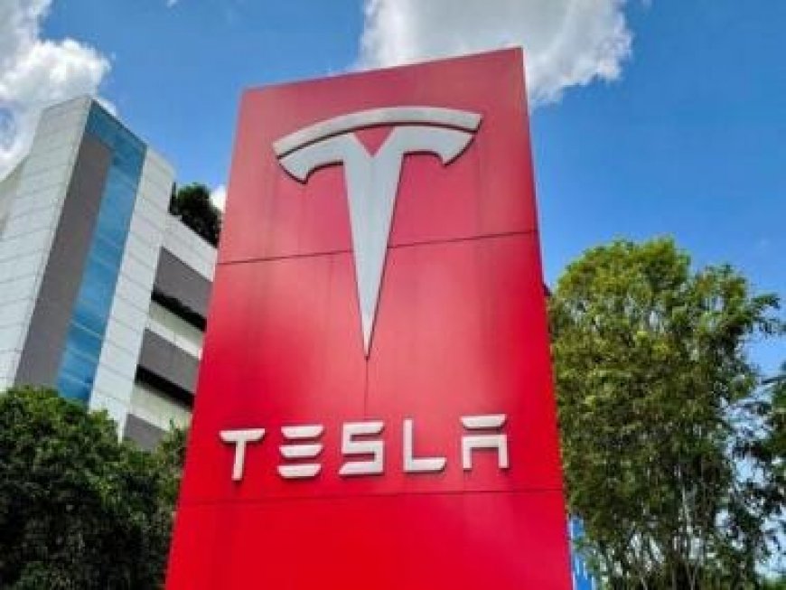 Elon Musk's Tesla sued over 'racial bigotry' at California plant