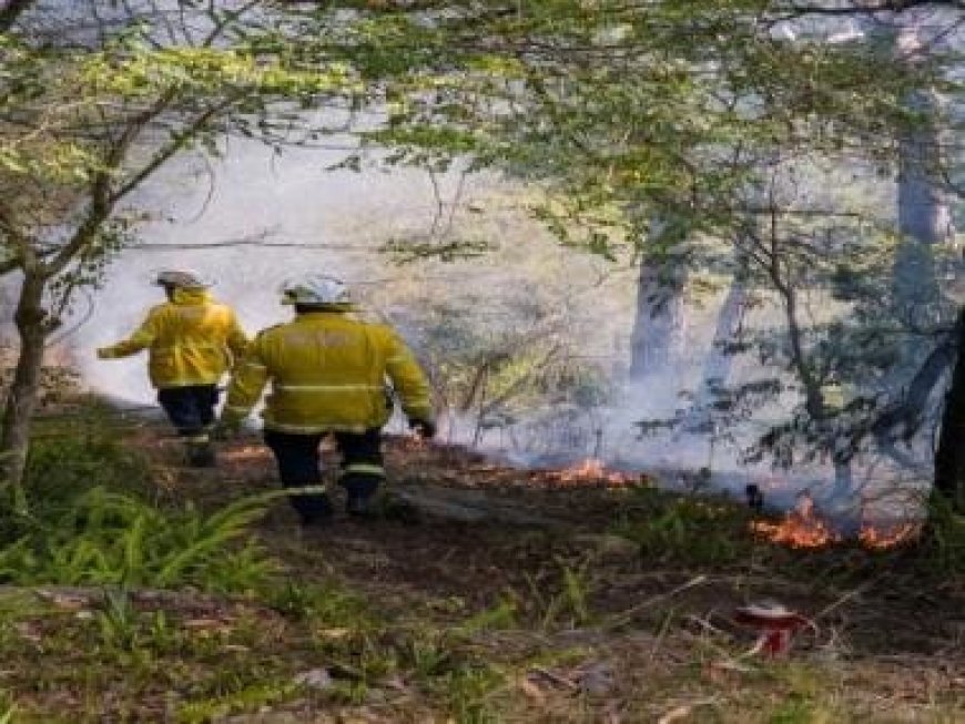 Australia swelters through 'scorching' heat lifting bushfire risk