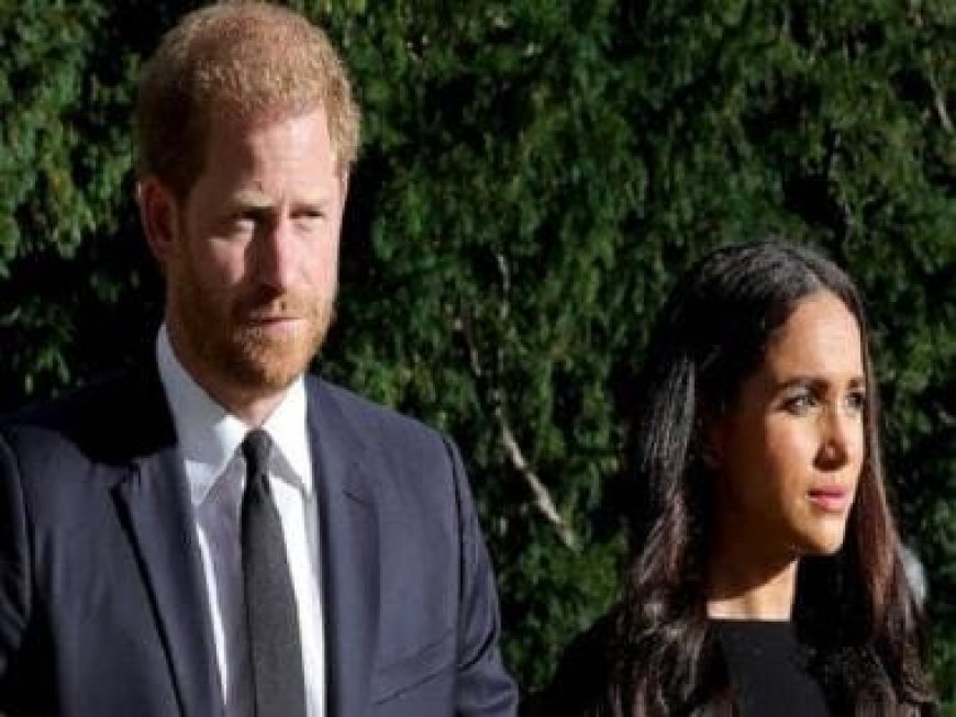 Harry, Meghan Rift: Why is Duchess frustrated with Duke of Sussex | Explained