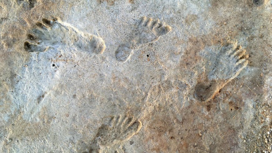 Human footprints in New Mexico really may be surprisingly ancient, new dating shows