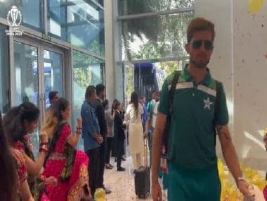 Watch: Pakistan cricket team receives warm welcome in Ahmedabad, gets surprise in-flight celebration