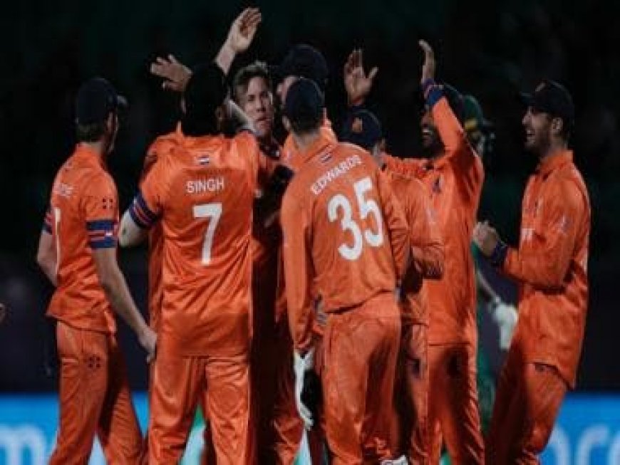 World Cup 2023: Scott Edwards hails 'big win' for Netherlands, South Africa 'hurt'