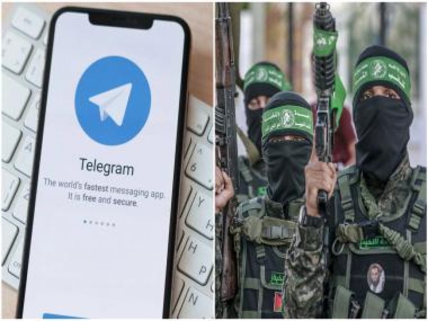 Hamas Telegram channel has grown three times after attack on Israel. CEO explains why and how