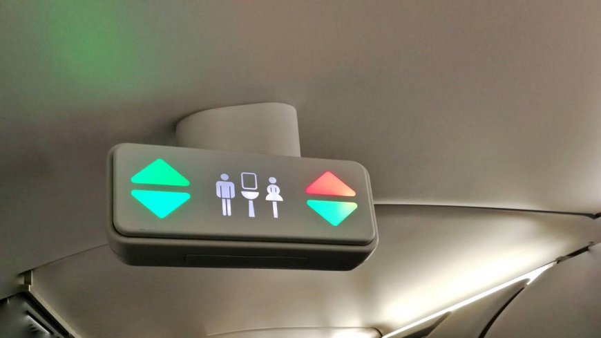 Another plane had to turn around after gross bathroom crisis