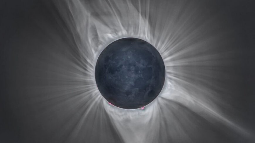 Here’s how citizen scientists can help during the 2024 solar eclipse