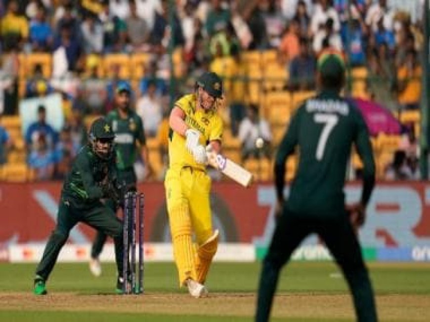 Watch: Cop prevents fan from chanting 'Pakistan Zindabad' during Australia World Cup clash in Bengaluru