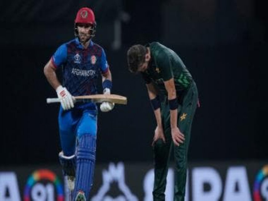 World Cup 2023: All-round Afghanistan stun Pakistan in Chennai, collect first-ever ODI win against neighbours