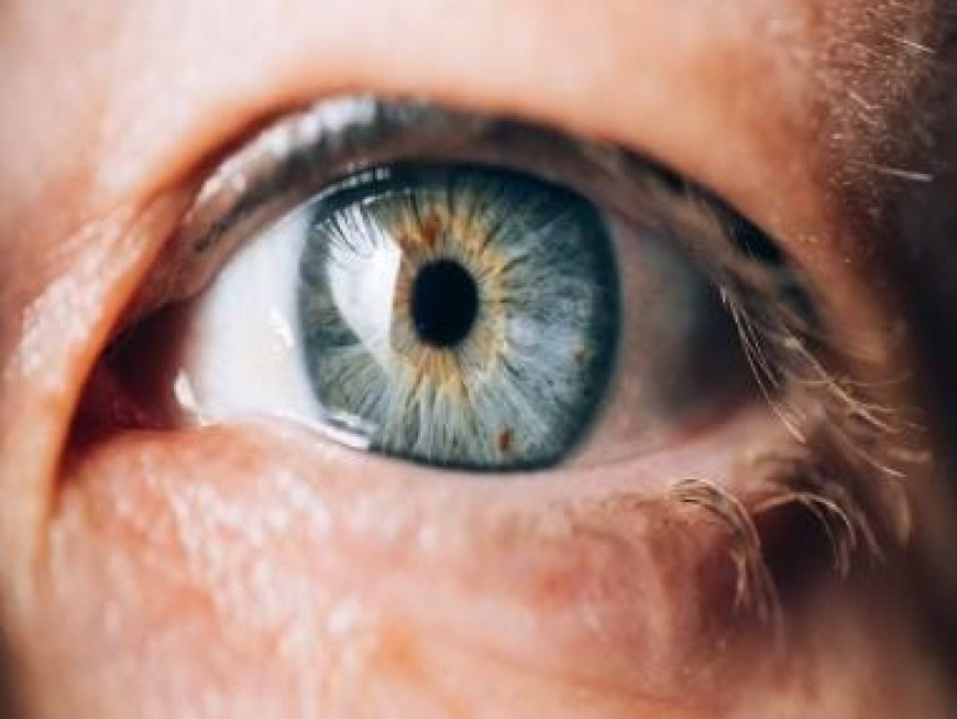 Miracle Cure: Scientists develop eye implants using insulin-producing cells that could treat diabetes