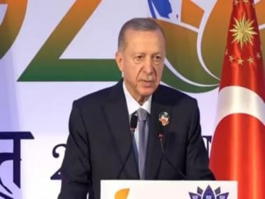 Hamas is not a terrorist organisation but liberation group, says Erdogan