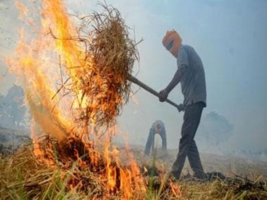 Stubble burning: Punjab logs 50% drop in farm fires so far