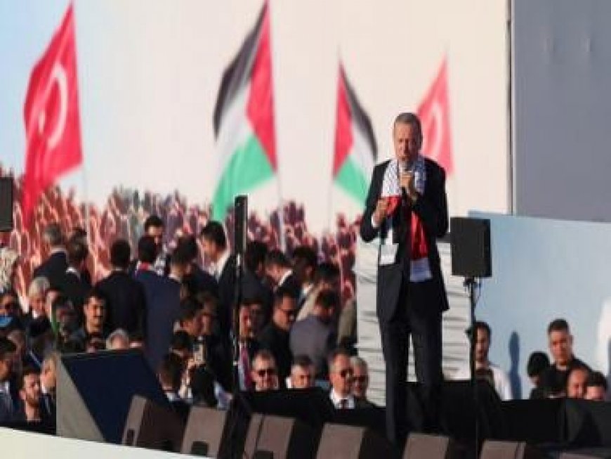 Turkey: Erdogan slams Israel at pro-Palestine rally
