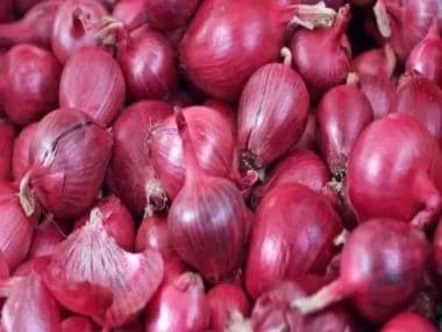 Onion prices in Delhi-NCR touch Rs 78 per kg: Govt data